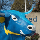 Logo of SUNY College of Technology at Alfred